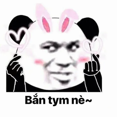 32 Meme hài gấu trúc đeo tai thỏ áp tay lên má cạnh chữ Bắn tym nè, biểu cảm ngại ngùng mà cực nhây