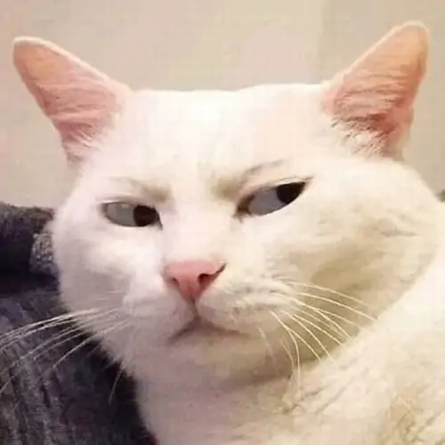 84 83