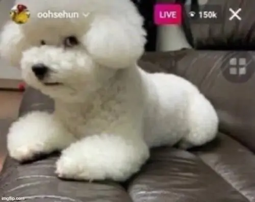 94 93