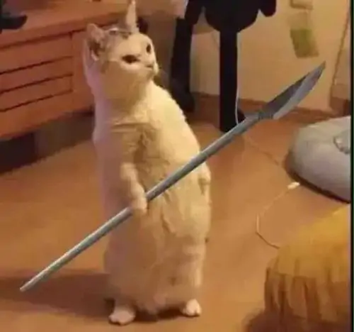 30 29