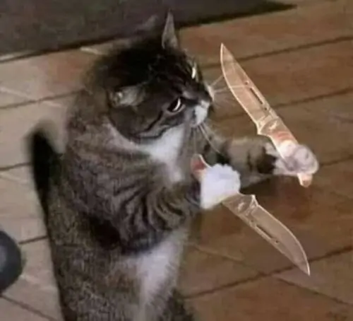 26 25