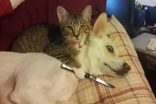 28 27