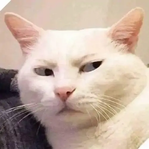 49 48
