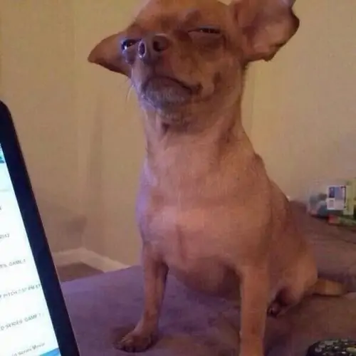 53 52