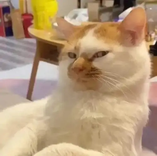 55 54