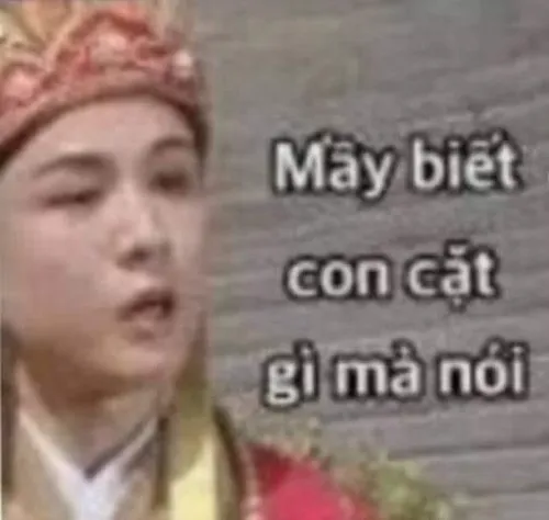 44 Hình chế vui có nhóm bạn mặc áo phông nhìn nhau cười nhếch mép, tạo tương tác kỹ thuật số khi chuyện phiếm lệch hướng