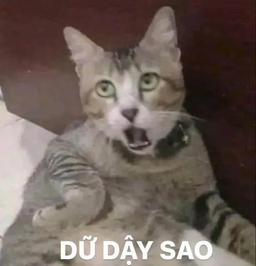 48 47