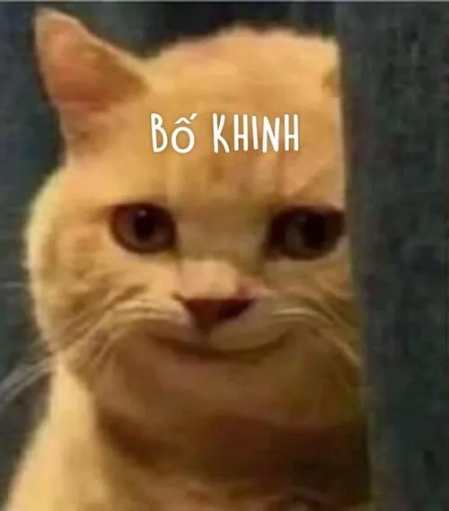 37 Trong ô trò chuyện, nhãn dán biểu cảm hiện gương mặt lườm xéo, giúp người gửi đáp chuyện vô duyên không cần gõ dài