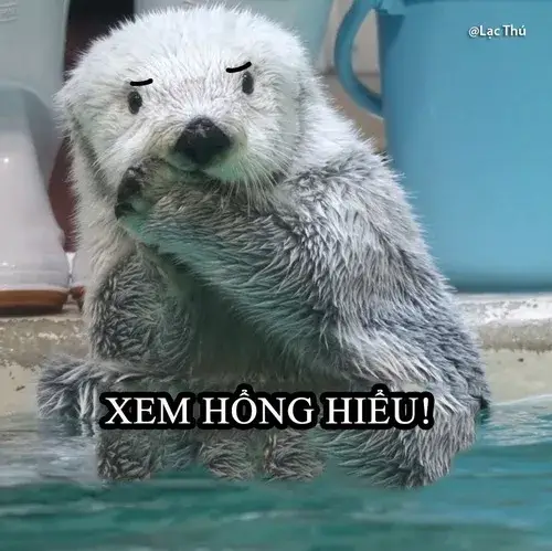 57 56