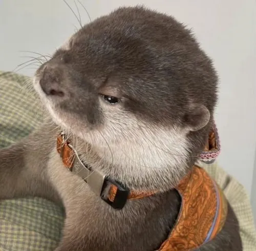 59 58