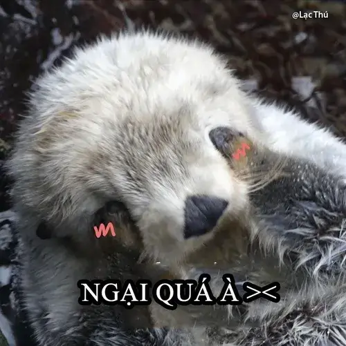 65 64