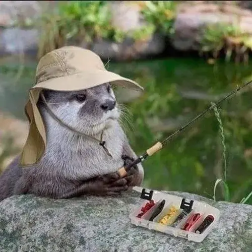 71 70