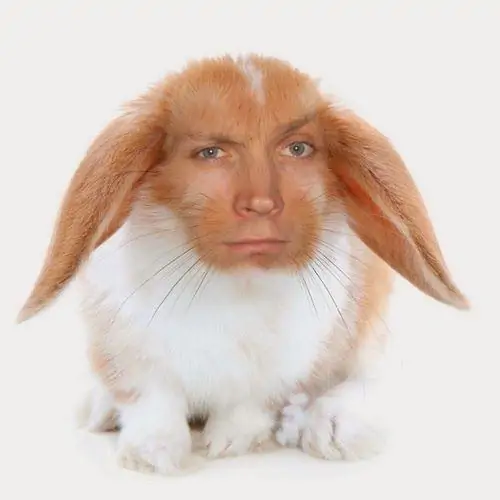 75 74