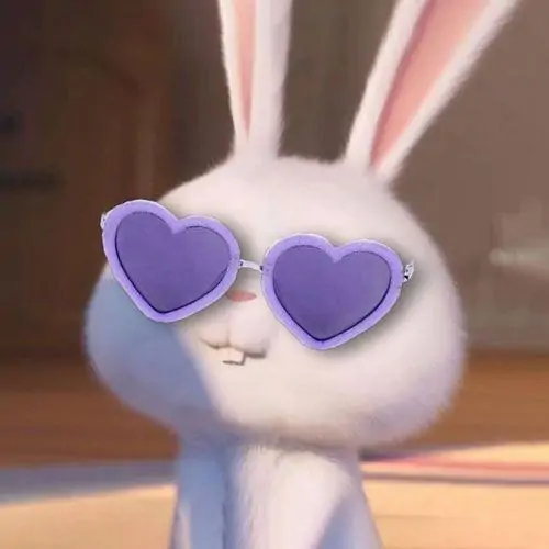 77 Ảnh Meme Thỏ Cute Với Đôi Tai Dài Ngơ Ngác Cho Tin Nhắn Thêm Mặn Mà