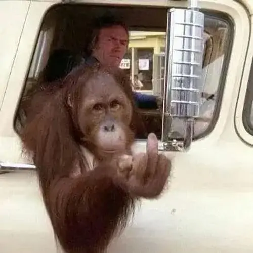 62 61