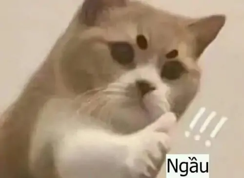 68 67