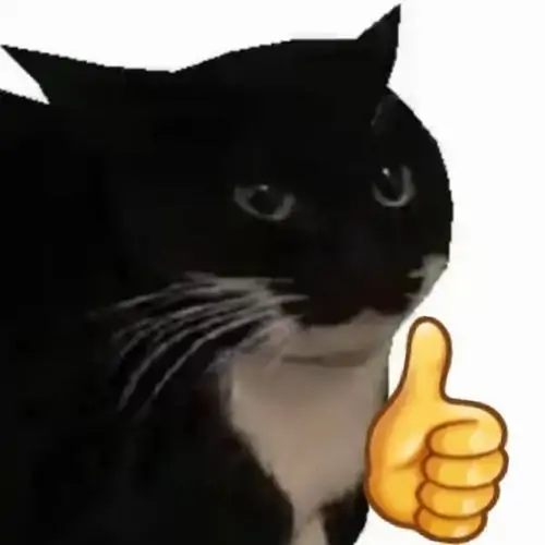 50 49