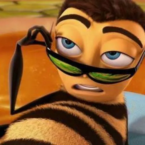 82 81