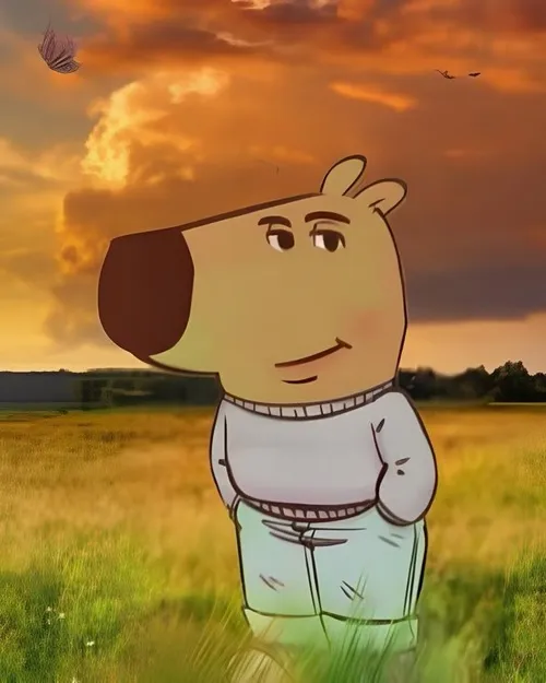 64 63