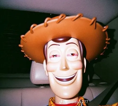 66 65
