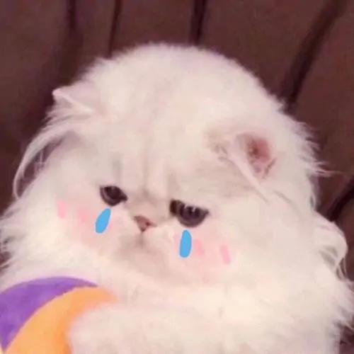 81 80