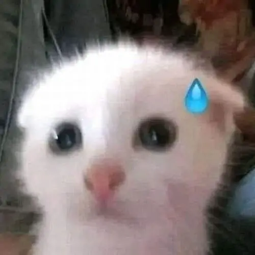 83 82