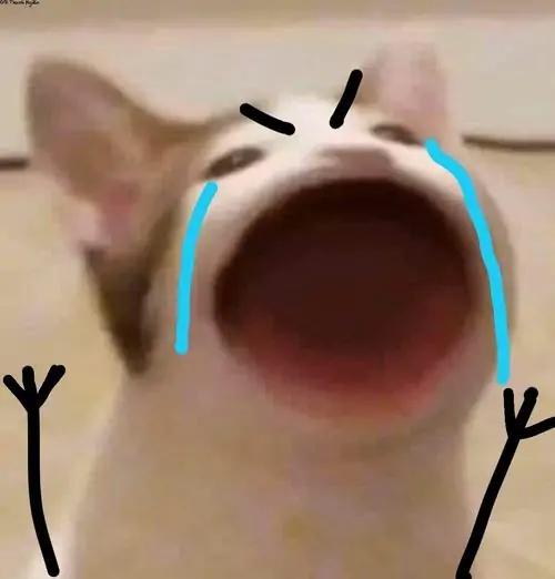 99 Ảnh Meme Mèo Khóc Lóc Hợp Lúc Muốn Tự Trào Nhẹ Nhàng