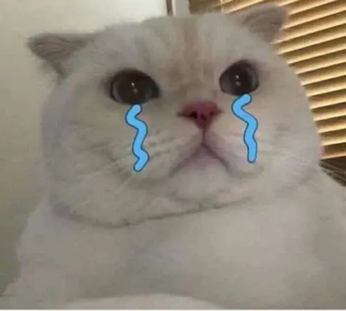88 87