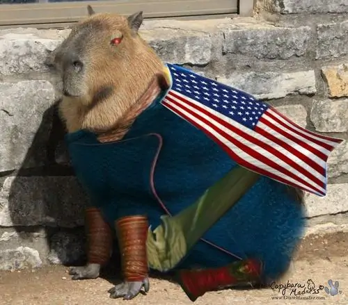 38 Giữa sở thú đông khách, Capybara ngồi sát hàng rào với mũi lớn hướng lên, ánh mắt thờ ơ như không quan tâm ai chụp