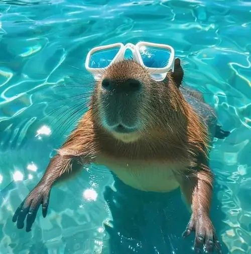 39 Trong video ngắn tưởng tượng, Capybara đứng yên cạnh quokka và hamster, sự im lặng lạ kỳ khiến cả nhóm trông hài nhẹ
