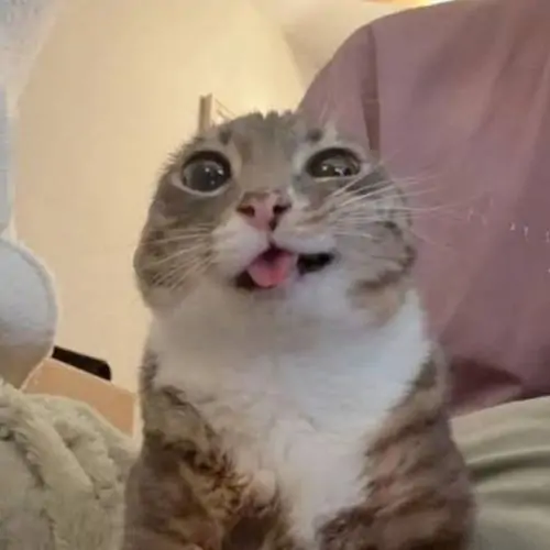 126 125