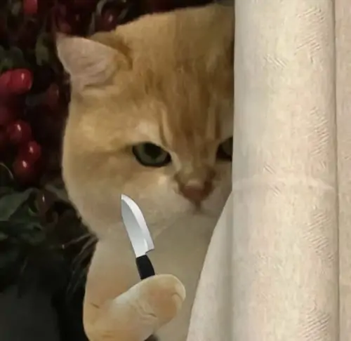 116 115