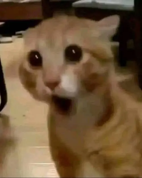 118 117