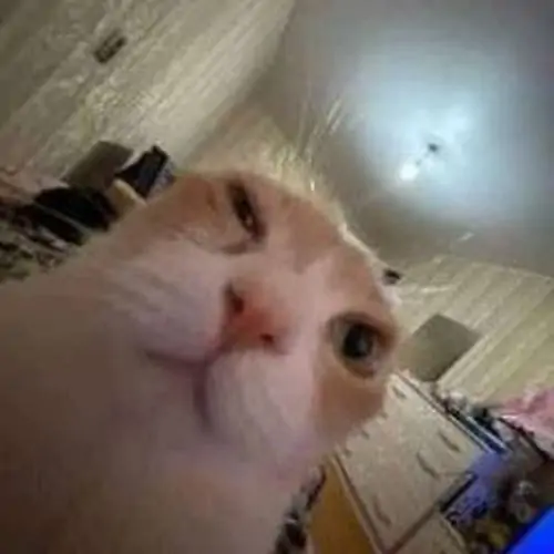 124 123