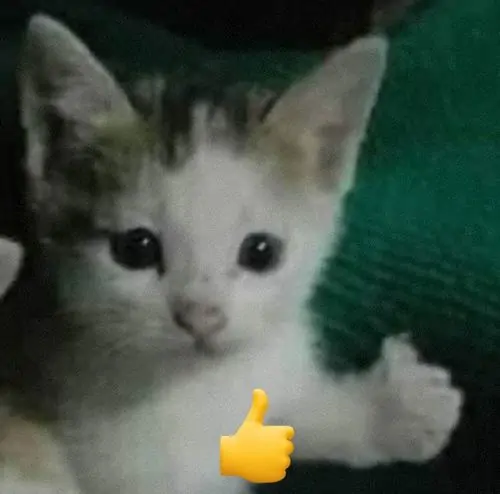 94 93