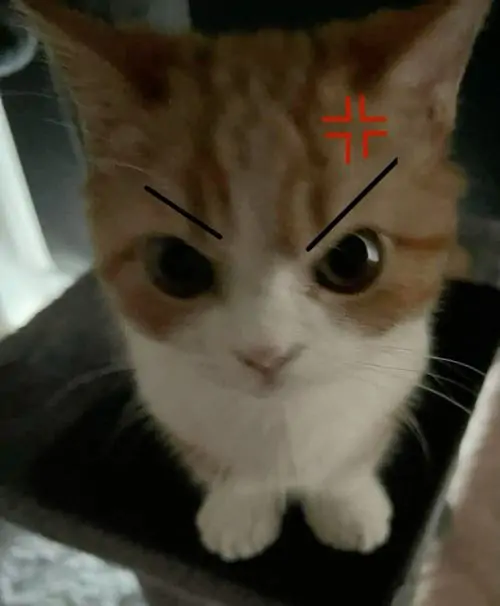 100 99