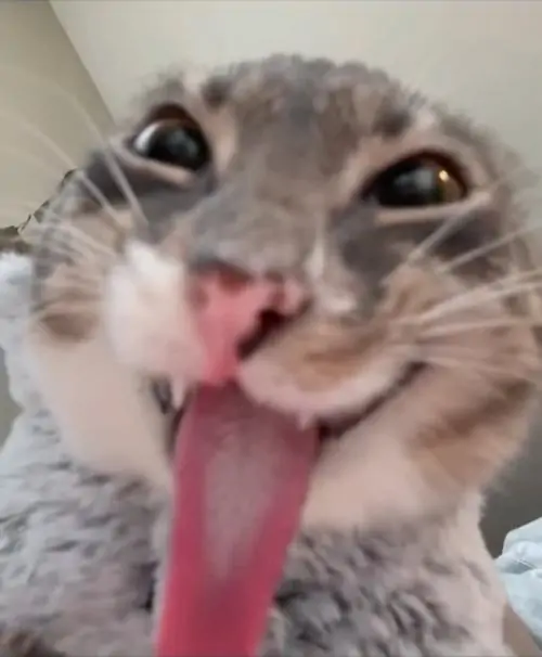 106 105