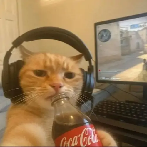 100 99