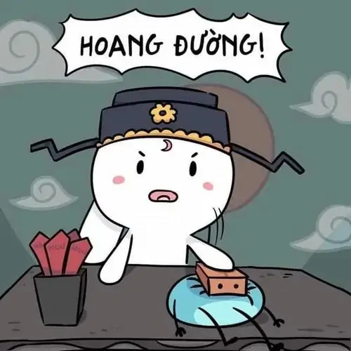 50 49