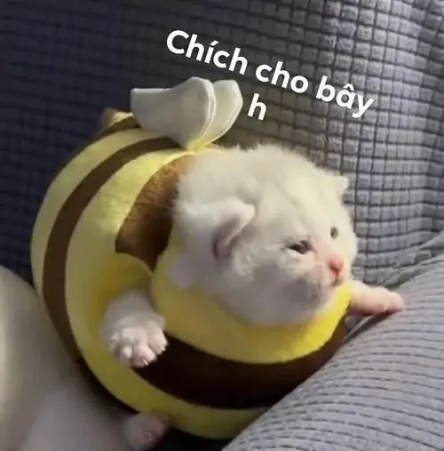 56 55