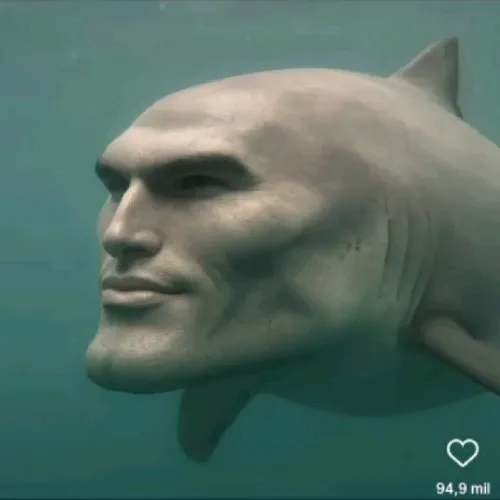 67 66