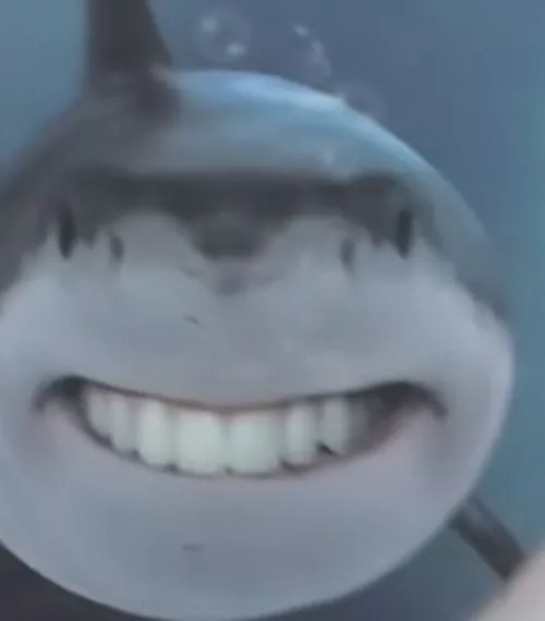 73 72