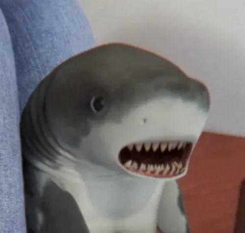 63 62