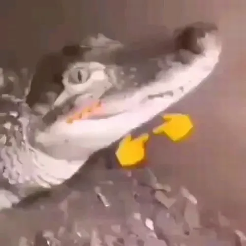 28 27