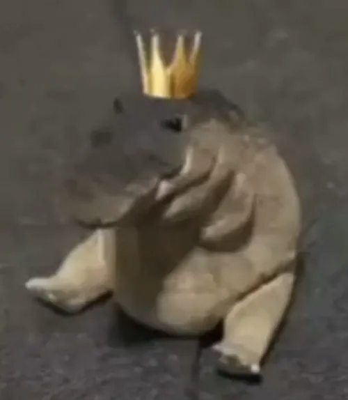 32 31