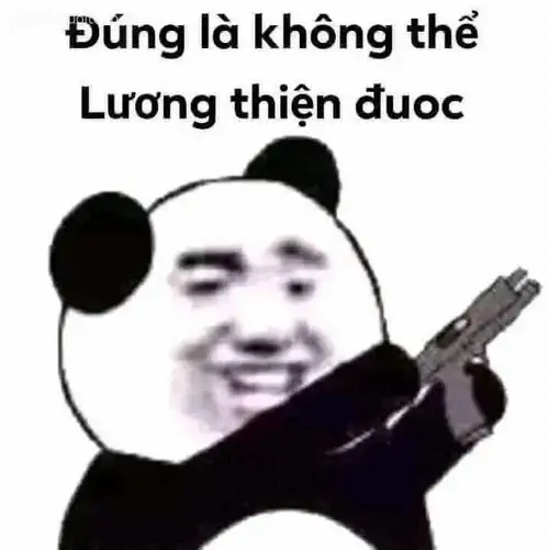 49 48