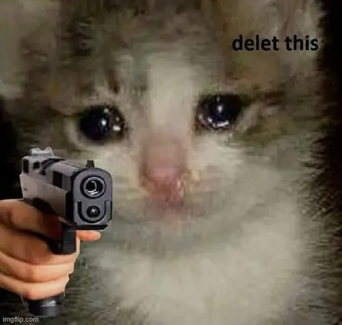 53 52