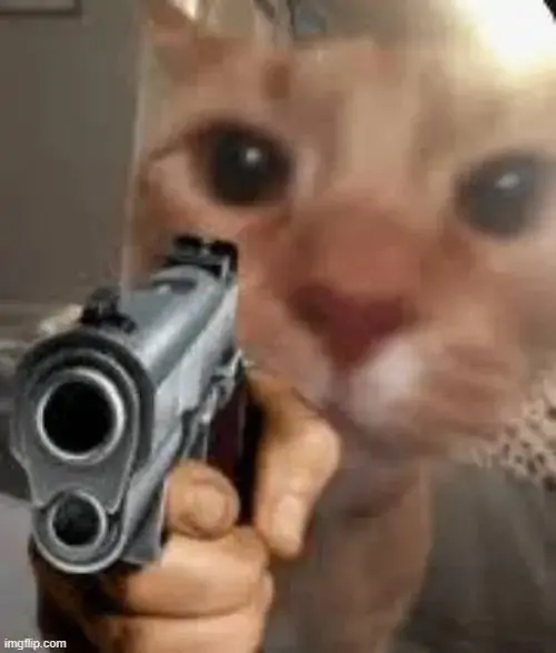 37 36