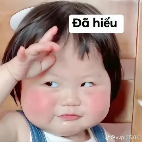 54 53