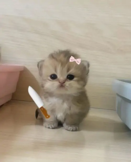 32 31